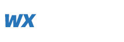 百色网站建设公司logo